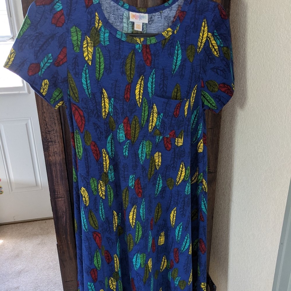 LuLaRoe Carly Dress